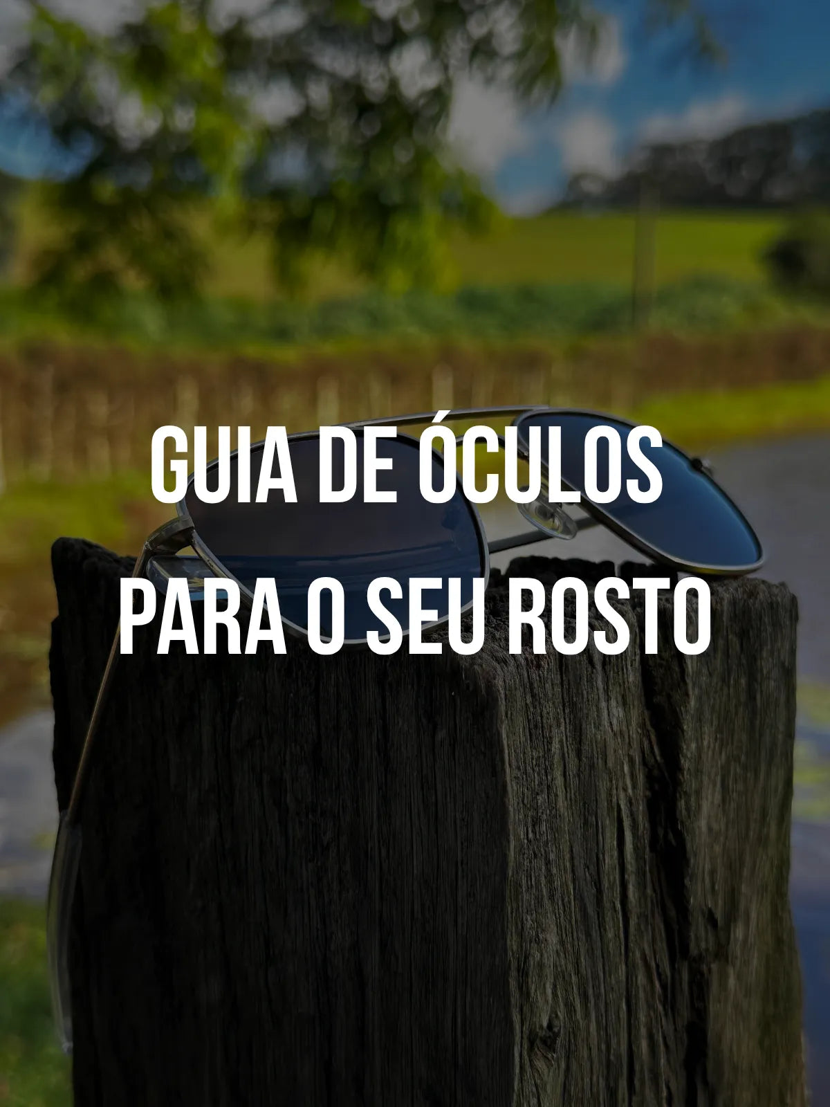 Ver guia